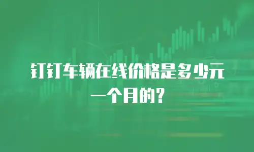 钉钉车辆在线价格是多少元一个月的？