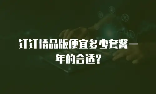 钉钉精品版便宜多少套餐一年的合适？