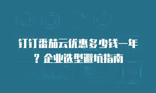 钉钉番茄云优惠多少钱一年？企业选型避坑指南