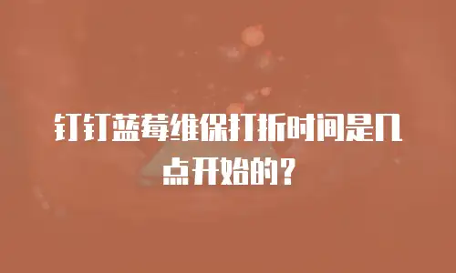 钉钉蓝莓维保打折时间是几点开始的？