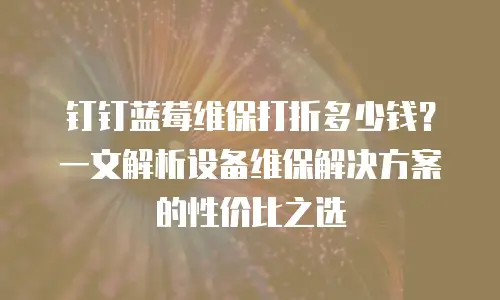 钉钉蓝莓维保打折多少钱？一文解析设备维保解决方案的性价比之选