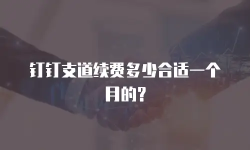 钉钉支道续费多少合适一个月的？