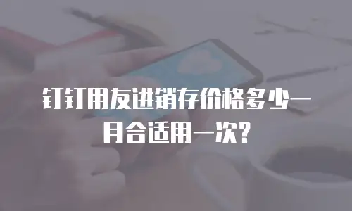 钉钉用友进销存价格多少一月合适用一次？
