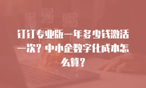 钉钉专业版一年多少钱激活一次？中小企数字化成本怎么算？