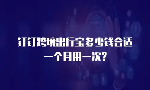 钉钉跨境出行宝多少钱合适一个月用一次？