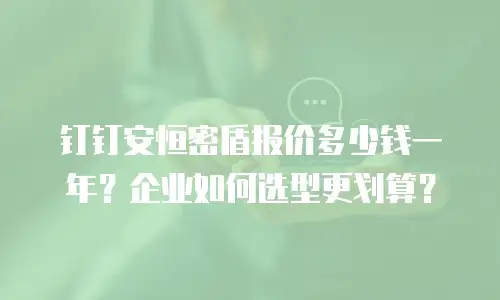 钉钉安恒密盾报价多少钱一年？企业如何选型更划算？