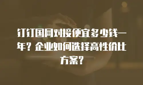 钉钉国网对接便宜多少钱一年？企业如何选择高性价比方案？