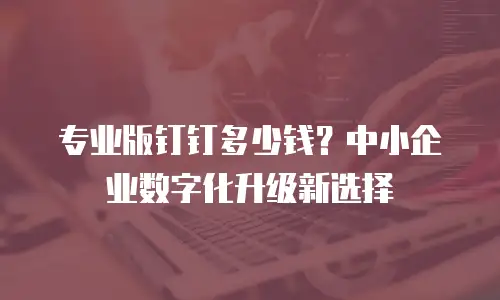 专业版钉钉多少钱？中小企业数字化升级新选择