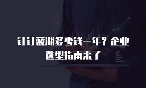 钉钉蓝湖多少钱一年？企业选型指南来了