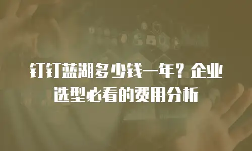 钉钉蓝湖多少钱一年？企业选型必看的费用分析