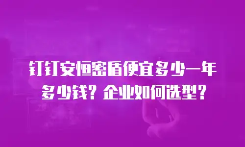 钉钉安恒密盾便宜多少一年多少钱？企业如何选型？