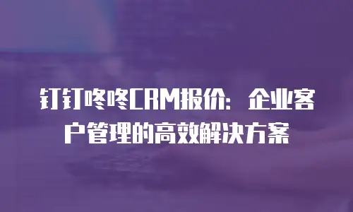 钉钉咚咚CRM报价：企业客户管理的高效解决方案