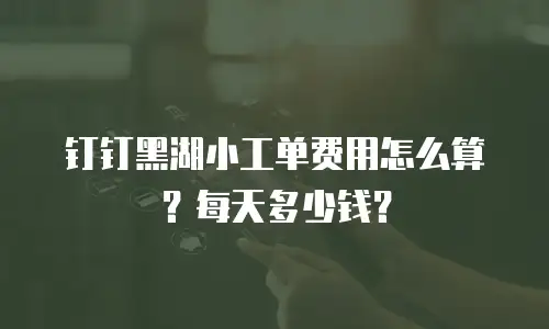 钉钉黑湖小工单费用怎么算？每天多少钱？