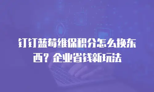 钉钉蓝莓维保积分怎么换东西？企业省钱新玩法