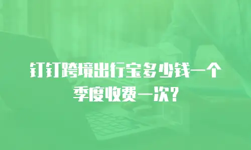 钉钉跨境出行宝多少钱一个季度收费一次？