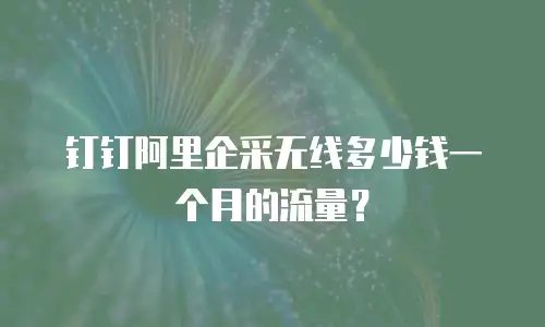 钉钉阿里企采无线多少钱一个月的流量？