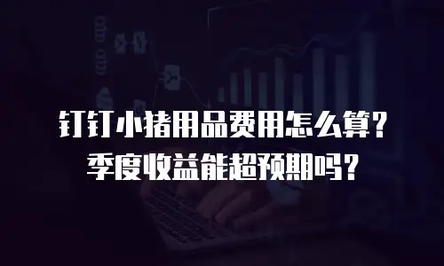 钉钉小猪用品费用怎么算？季度收益能超预期吗？