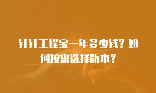 钉钉工程宝一年多少钱？如何按需选择版本？