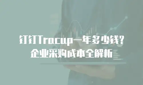 钉钉Tracup一年多少钱？企业采购成本全解析