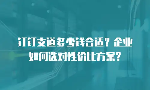 钉钉支道多少钱合适？企业如何选对性价比方案？