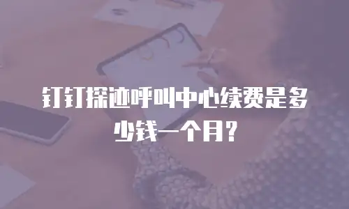 钉钉探迹呼叫中心续费是多少钱一个月？