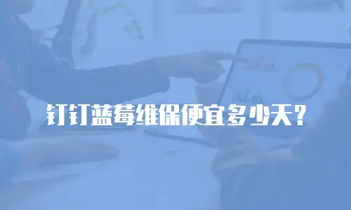 钉钉蓝莓维保便宜多少天？