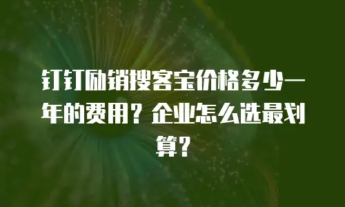 钉钉励销搜客宝价格多少一年的费用？企业怎么选最划算？