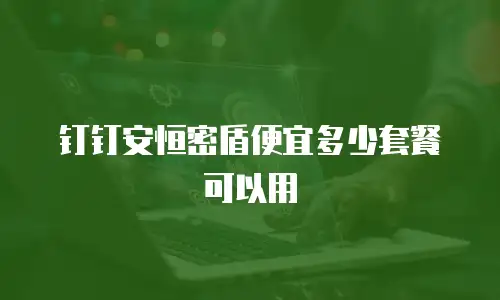 钉钉安恒密盾便宜多少套餐可以用