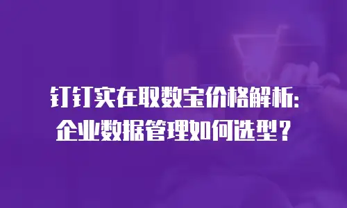 钉钉实在取数宝价格解析：企业数据管理如何选型？
