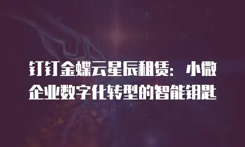 钉钉金蝶云星辰租赁：小微企业数字化转型的智能钥匙