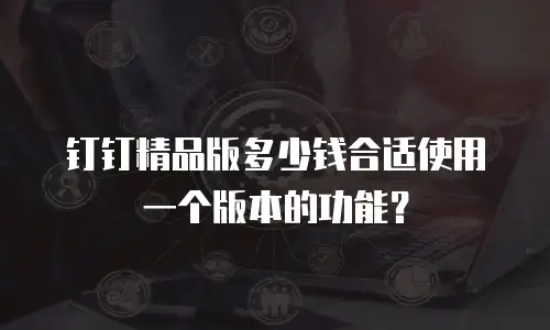 钉钉精品版多少钱合适使用一个版本的功能？