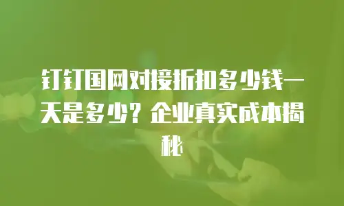 钉钉国网对接折扣多少钱一天是多少？企业真实成本揭秘