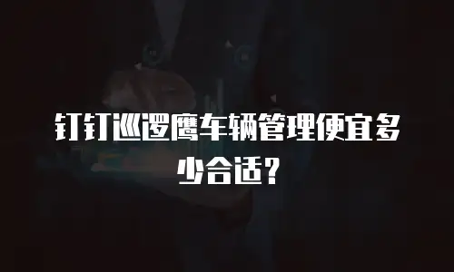钉钉巡逻鹰车辆管理便宜多少合适？