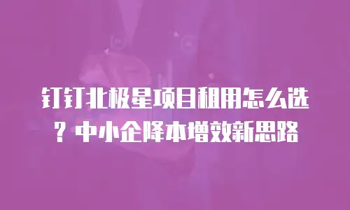 钉钉北极星项目租用怎么选？中小企降本增效新思路