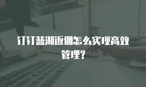 钉钉蓝湖返佣怎么实现高效管理？
