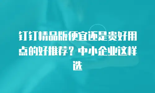 钉钉精品版便宜还是贵好用点的好推荐？中小企业这样选
