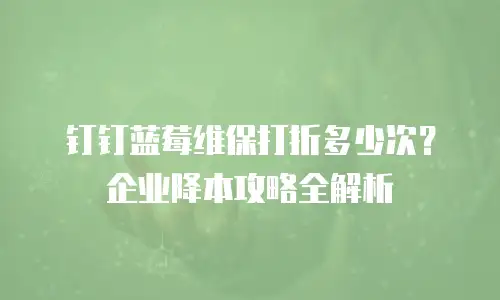 钉钉蓝莓维保打折多少次？企业降本攻略全解析