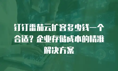 钉钉番茄云扩容多少钱一个合适？企业存储成本的精准解决方案