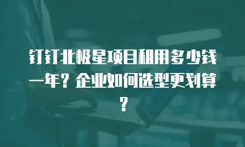 钉钉北极星项目租用多少钱一年？企业如何选型更划算？