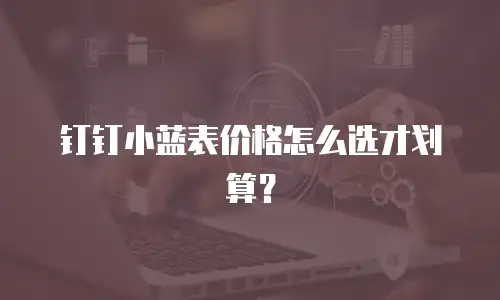 钉钉小蓝表价格怎么选才划算？