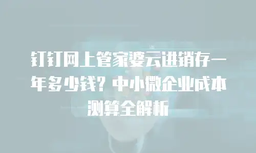 钉钉网上管家婆云进销存一年多少钱？中小微企业成本测算全解析