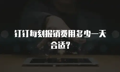 钉钉每刻报销费用多少一天合适？