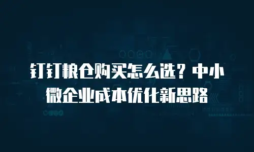 钉钉粮仓购买怎么选？中小微企业成本优化新思路