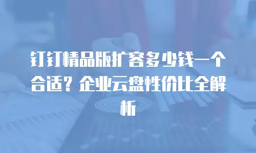 钉钉精品版扩容多少钱一个合适？企业云盘性价比全解析