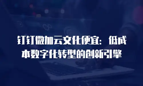钉钉微加云文化便宜：低成本数字化转型的创新引擎