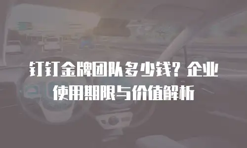 钉钉金牌团队多少钱？企业使用期限与价值解析