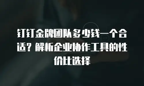 钉钉金牌团队多少钱一个合适？解析企业协作工具的性价比选择