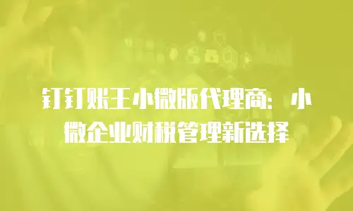 钉钉账王小微版代理商：小微企业财税管理新选择