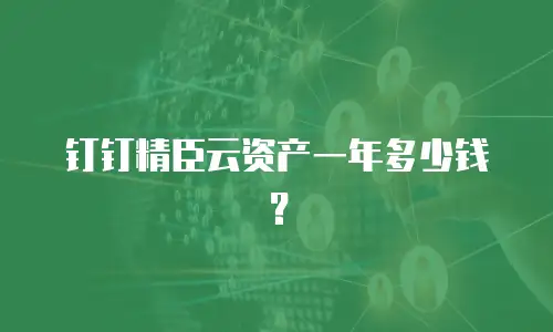 钉钉精臣云资产一年多少钱？