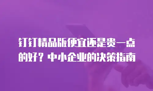 钉钉精品版便宜还是贵一点的好？中小企业的决策指南